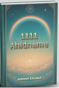 1111 Ahidname