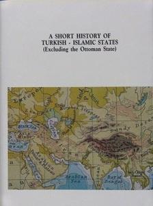 A Short History of Turkish - Islamic States (Excluding the Ottoman State) (Ciltli)