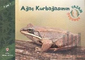 Ağaç Kurbağasının Yaşam Döngüsü