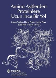 Amino Asitlerden Proteinlere Uzun İnce Bir Yol