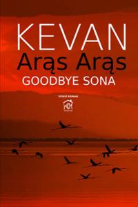 Aras Aras Goodbye Sona