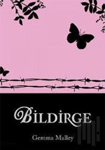 Bildirge
