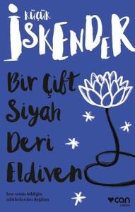 Bir Çift Siyah Deri Eldiven