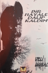 Bir Hayale Dalıp Kaldım