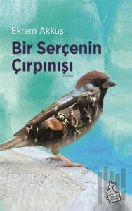 Bir Serçenin Çırpınışı