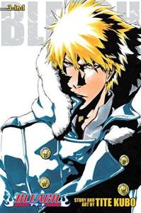 Bleach (3-in-1 Edition) Vol. 17 (Bleach (3-in-1 Edition))