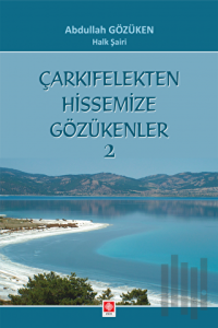 Çarkıfelekten Hissemize Gözükenler 2