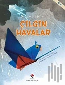 Çılgın Havalar - Origamiyle Bilim