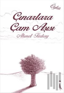 Çınarlara Çam Aşısı