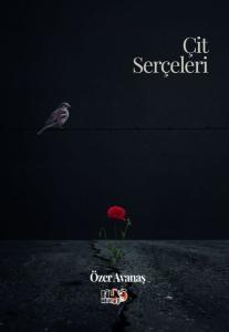 Çit Serçeleri