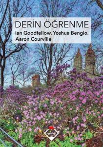 Derin Öğrenme (Ciltli)