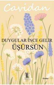 Duygular İnce Gelir Üşürsün - Öyküler