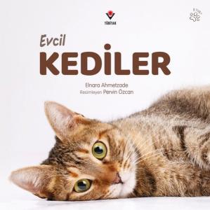 Evcil Kediler