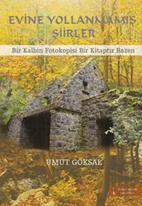 Evine Yollanmamış Şiirler