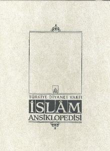 İslam Ansiklopedisi 32. Cilt (el-Müncid - Nesih)