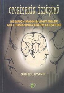 Otoritenin İzdüşümü