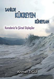 Sahilde Kükreyen Küheylan