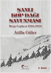 Şanlı Kop Dağı Savunması, Doğu Cephesi, 1916-1918