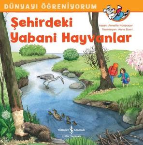 Şehirdeki Yabani Hayvanlar-Dünyayı Öğreniyorum