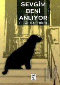 Sevgim Beni Anlıyor