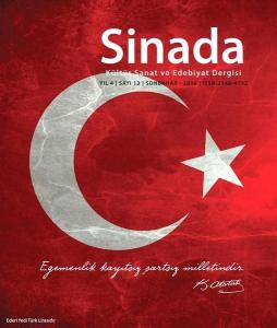 Sinada Dergisi Sayı 13