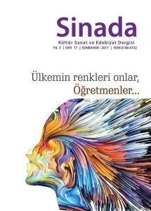 Sinada Dergisi Sayı 17
