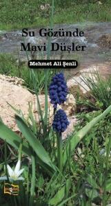 Su Gözünde Mavi Düşler