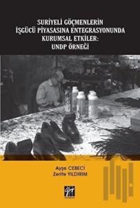 Suriyeli Göçmenlerin İşgücü Piyasasına Entegrasyonunda Kurumsal Etkiler: UNDP Örneği