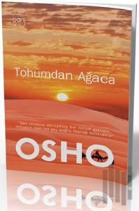 Tohumdan Ağaca