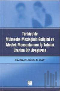 Türkiye’de Muhasebe Mesleğinin Gelişimi ve Meslek Mensuplarının İş Tatmini Üzerine Bir Araştırma