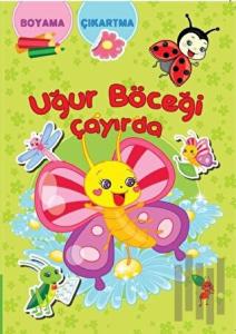 Uğur Böceği Çayırda