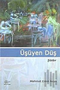 Üşüyen Düş