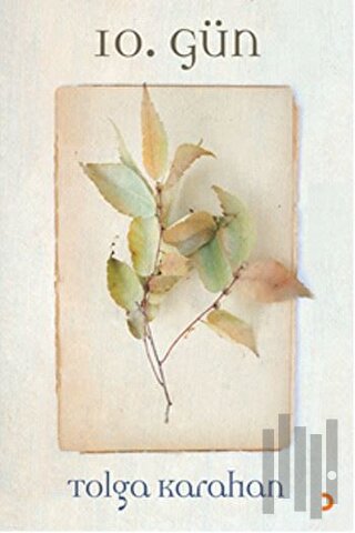 10.Gün