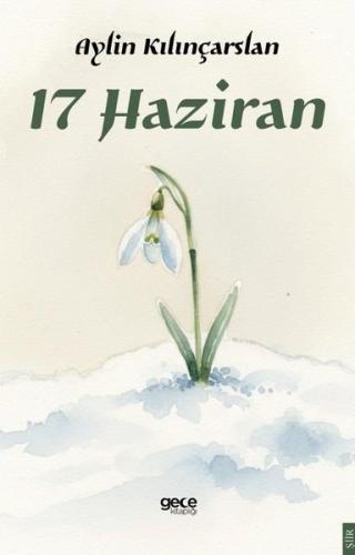 17 Haziran