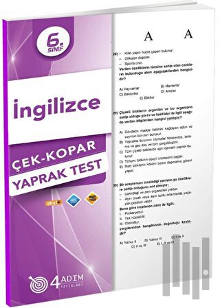 6. Sınıf İngilizce Çek Kopar Yaprak Test