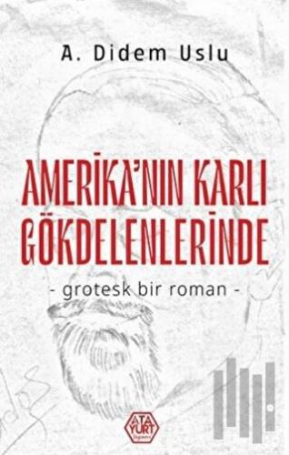 Amerika'nın Karlı Gökdelenlerinde