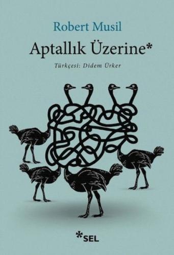Aptallık Üzerine