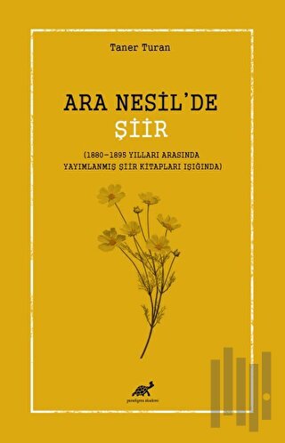 Ara Nesil’de Şiir
