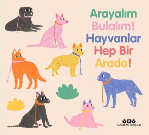 Arayalım Bulalım! Hayvanlar Hep Bir Arada! (Ciltli) | Kitap Ambarı