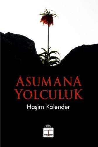 Asumana Yolculuk | Kitap Ambarı