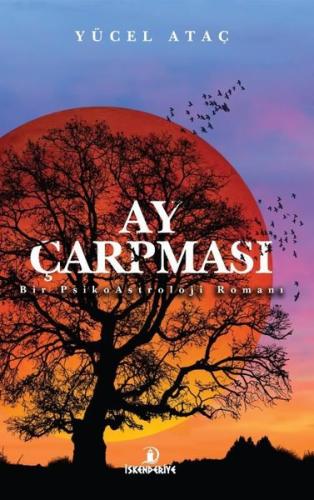 Ay Çarpması - Bir PsikoAstroloji Romanı | Kitap Ambarı