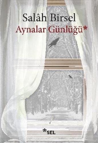 Aynalar Günlüğü | Kitap Ambarı