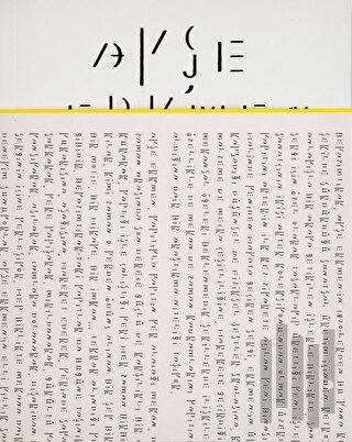 Ayşe Erkmen: Whitish