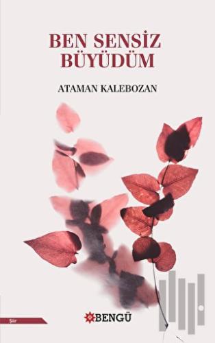 Ben Sensiz Büyüdüm