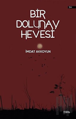 Bir Dolunay Hevesi