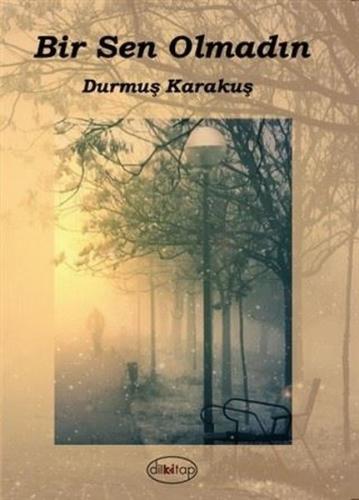 Bir Sen Olmadın | Kitap Ambarı