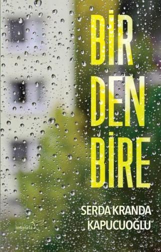 Birdenbire | Kitap Ambarı