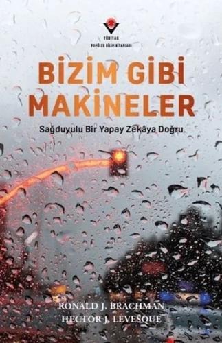 Bizim Gibi Makineler - Sağduyulu Bir Yapay Zekaya Doğru | Kitap Ambarı