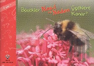 Böcekler Nasıl ve Neden Çiçeklere Konar?