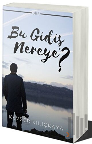 Bu Gidiş Nereye?